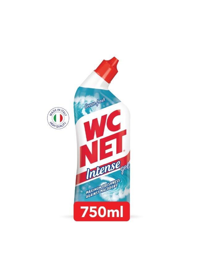 منظف مرحاض WC Net جل مكثف برائحة المحيط 750 مل